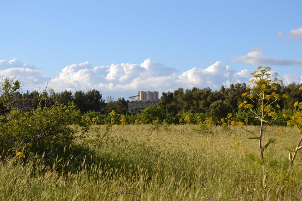 B&B Le Stagioni Castel Del Monte (Apulia) Exterior foto